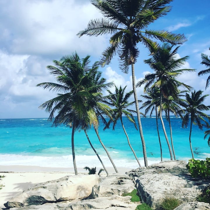House Anna-lisa - Barbados