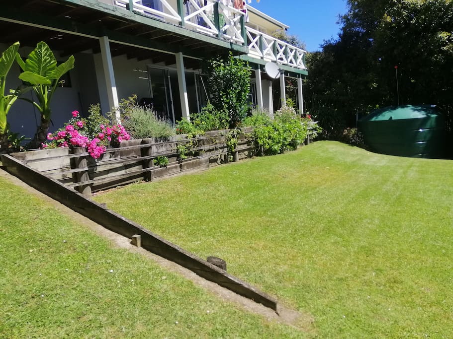 The back lawn