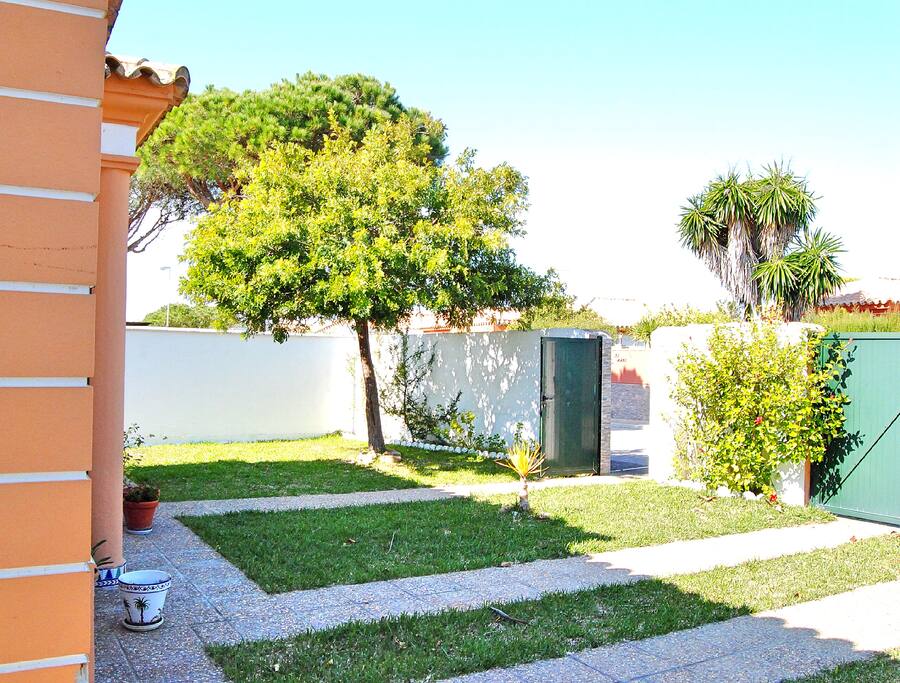 Vista lateral