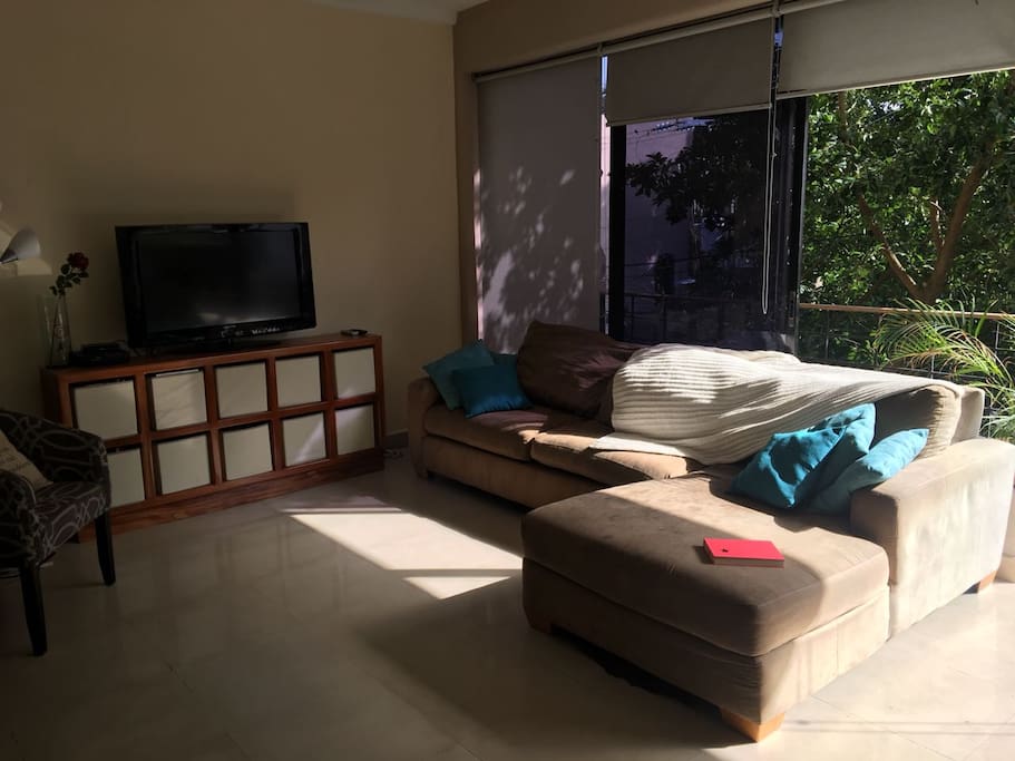 Living room with lounge sofa