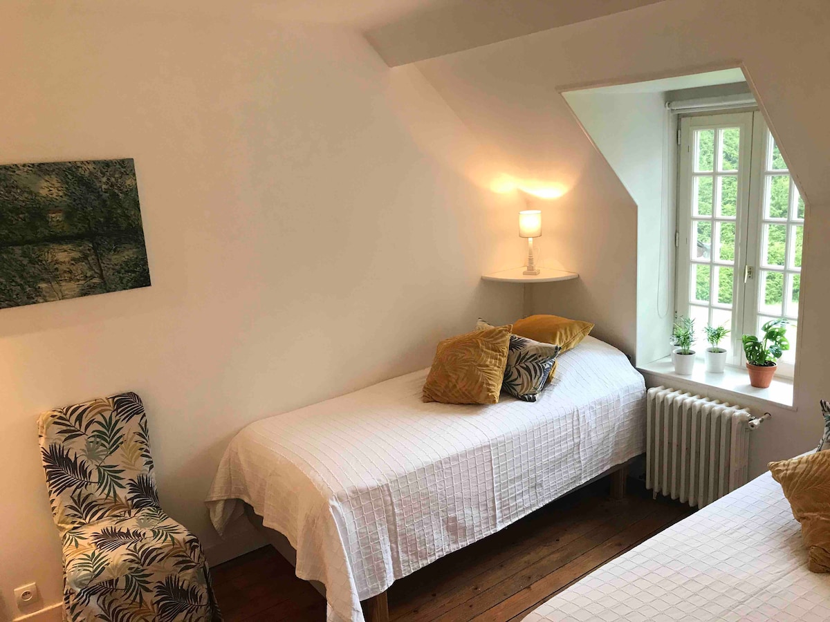 Chumba cha kulala cha tatu kwenye ghorofa ya 1. 
Chumba hiki cha dari kina vitanda viwili vikubwa (sentimita 90 x 200), bafu na sinki. 
Mapambo kwenye mandhari ya "ferns" kutoka kwa rangi za uchoraji na Monet ambayo nakala 1 imewekwa ukutani. 

