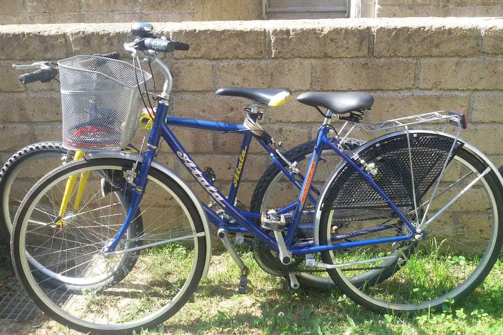 le biciclette