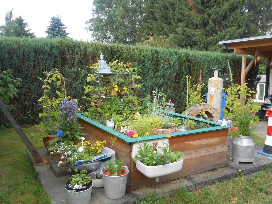 Noch mehr Blühten