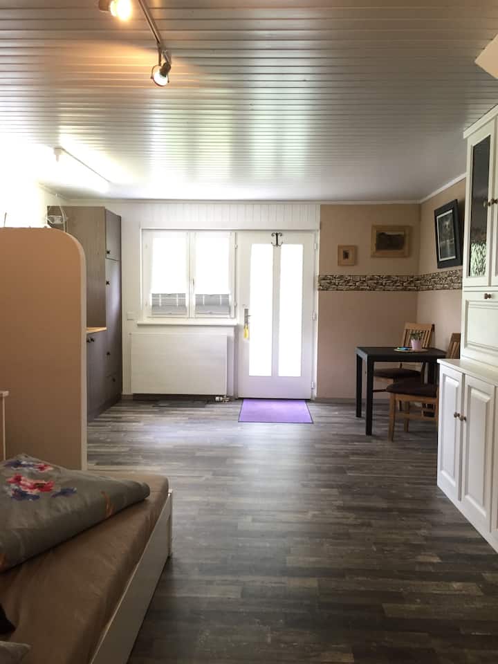 Grosses Studio / Big One Room Apartement - Sankt Niklaus