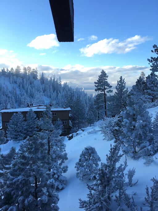 Winter view from deck