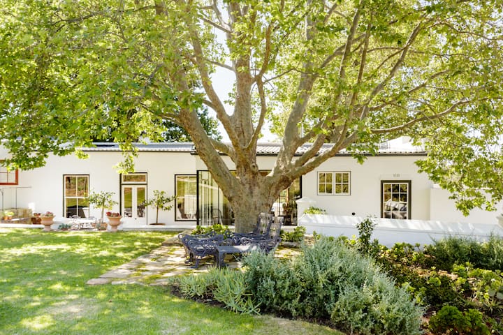 Walk Through the Vineyards from Historic Designer Cottage