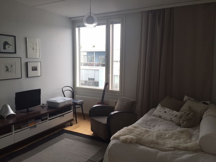 Bedroom / living room