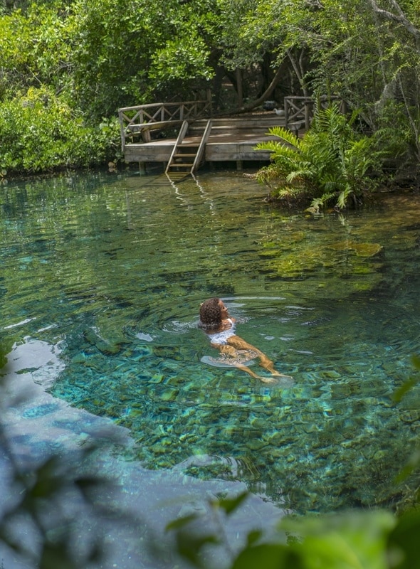 A serene natural swimming area is surrounded by lush greenery. Crystal clear water reflects the foliage, creating a peaceful ambiance. A wooden dock, partially visible, offers a place for relaxation beside the water.