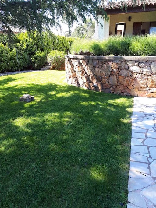 Jardin, garden