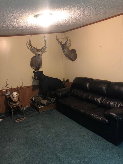 General sitting area