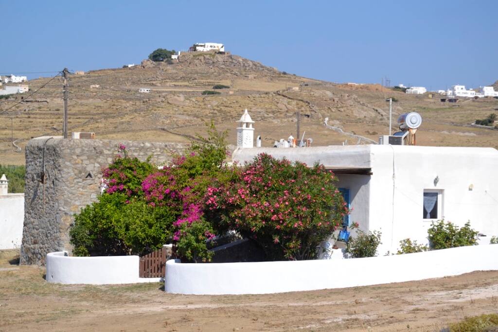 Front of the House