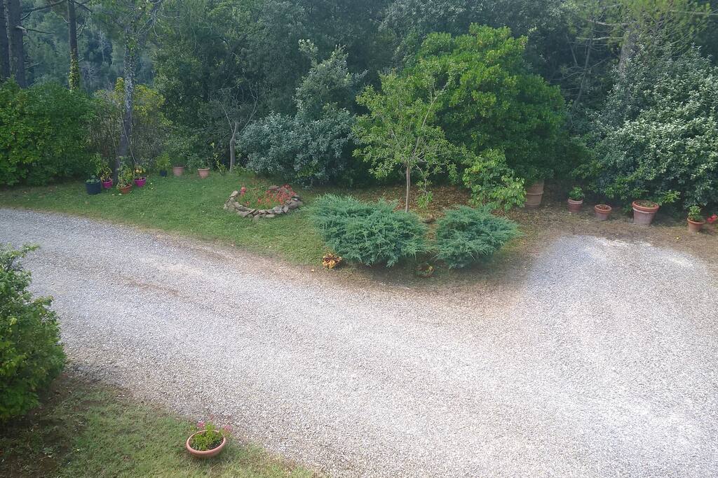 Giardino