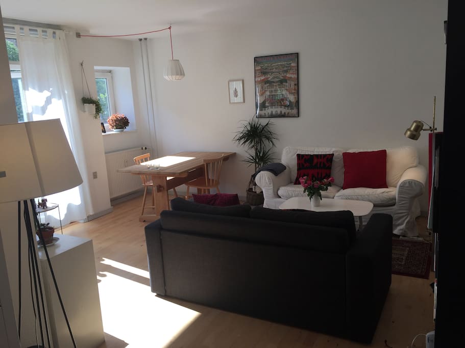 Cozy livingroom with space to hang out: two little couches, big dining table, television and a few plants :)