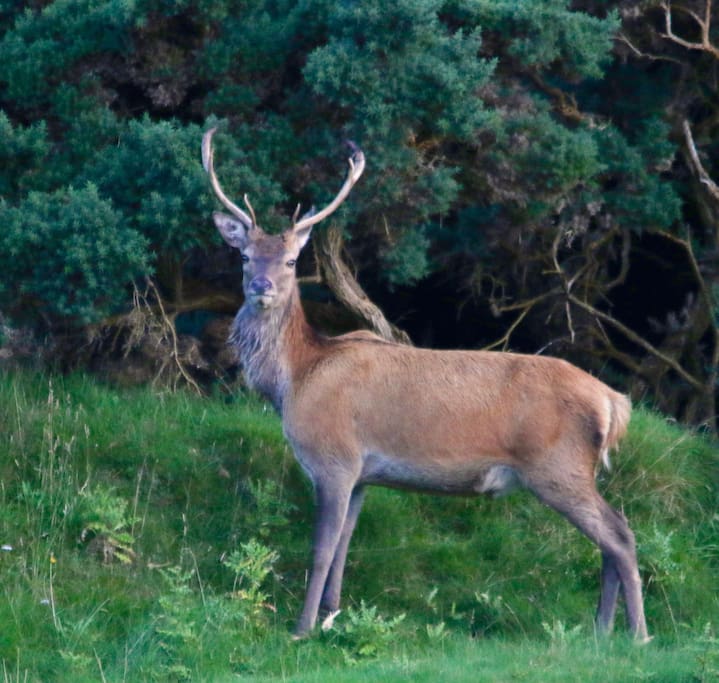 Meet the neighbour...