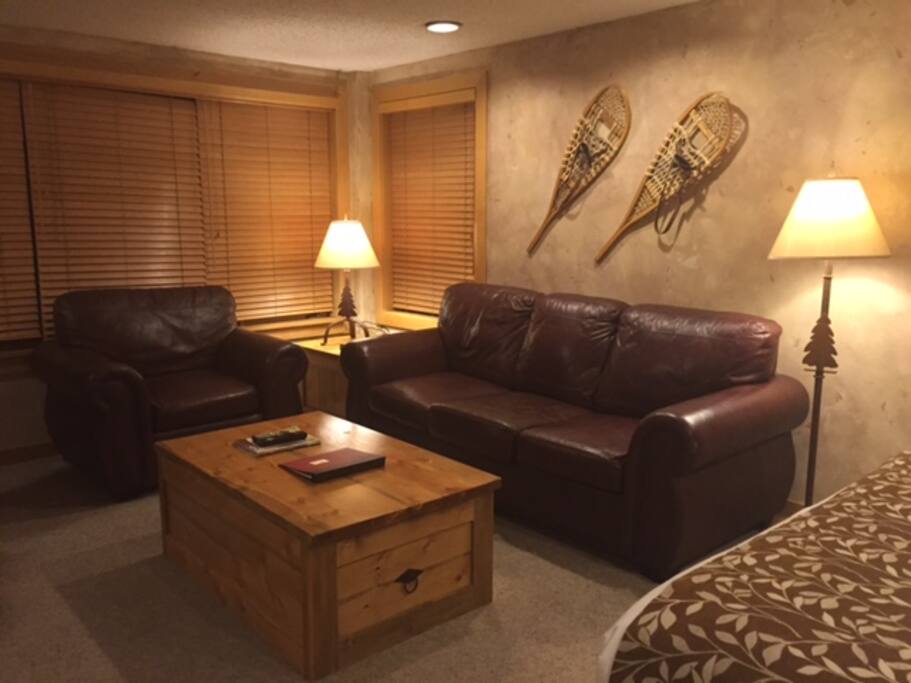 leather chair and sleeper sofa