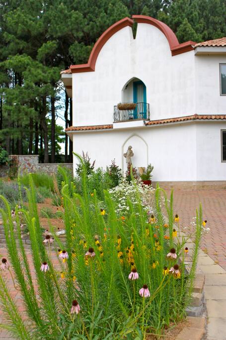 Native flower landscaping.