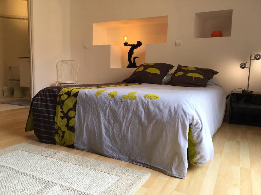 Elegant & spacious master bedroom with adjoining bathroom and terrace