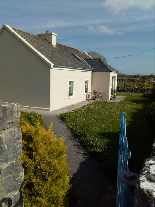 wild meadow cottage