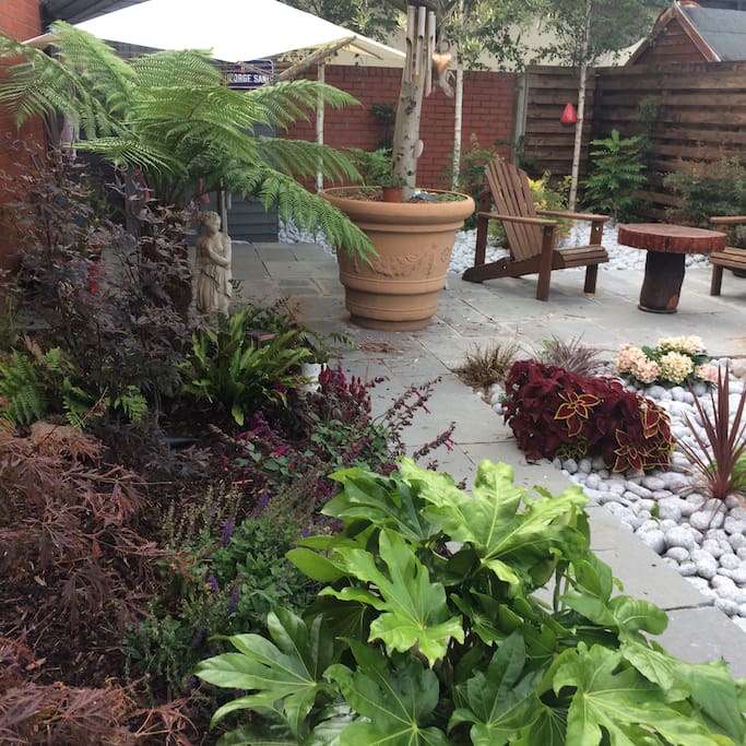 Back garden