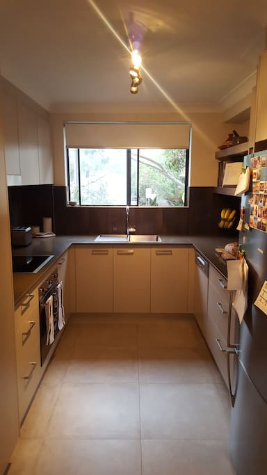 Newly renovated kitchen
