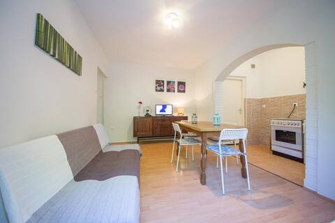 Apartman Vida 1