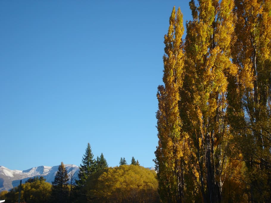 Trees and Mountains view