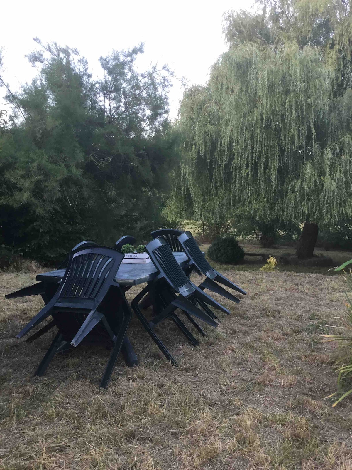 An outdoor dining area is set on a grassy patch, featuring a table surrounded by black plastic chairs. Lush trees and greenery provide a natural backdrop, creating a peaceful setting for meals or relaxation.