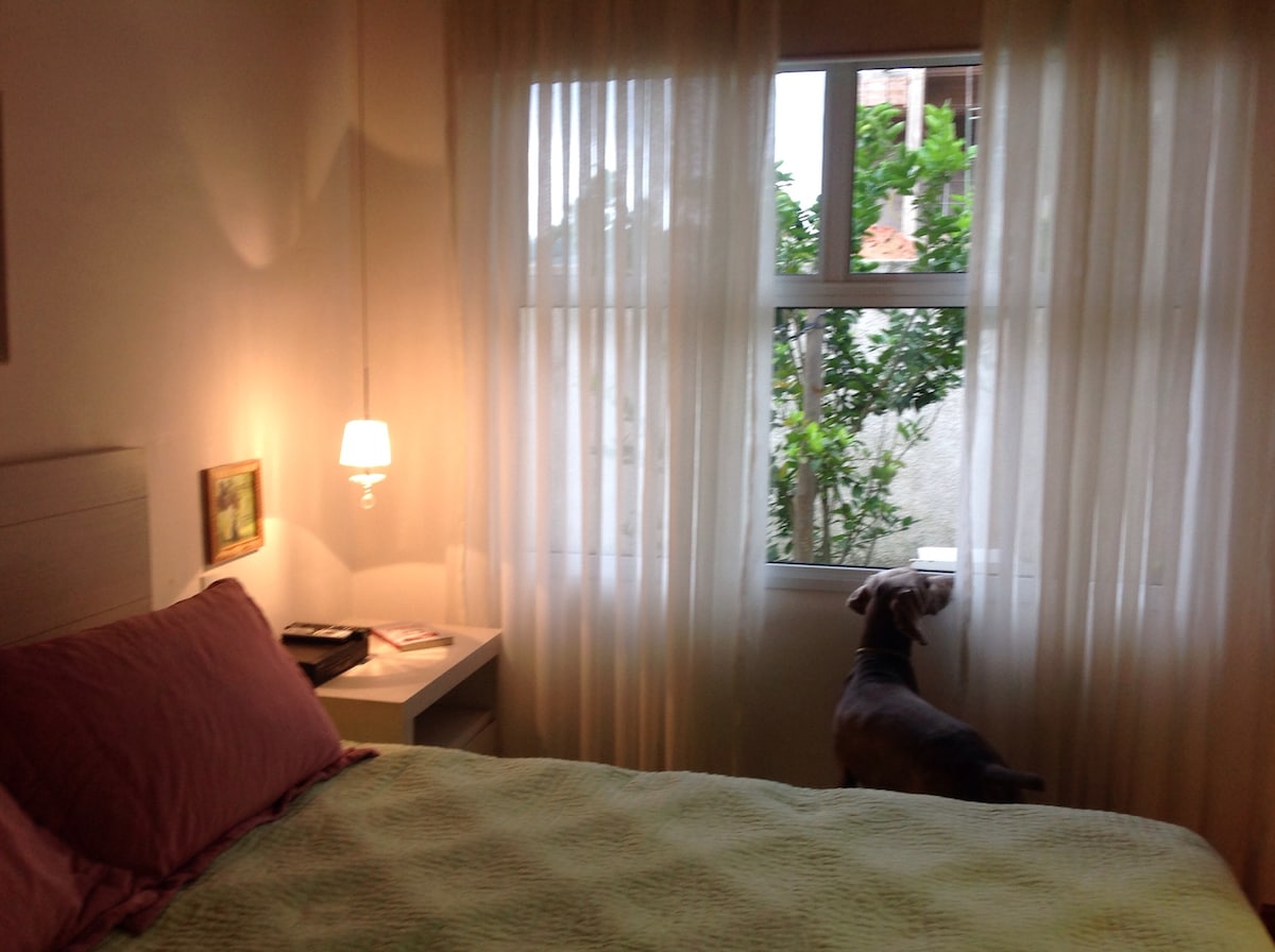 A cozy bedroom is presented, featuring a queen-sized bed adorned with light green bedding and two purple pillows. A bedside table holds a lamp, while sheer curtains allow natural light to illuminate the space. A dog is seen gazing out the window towards a garden.