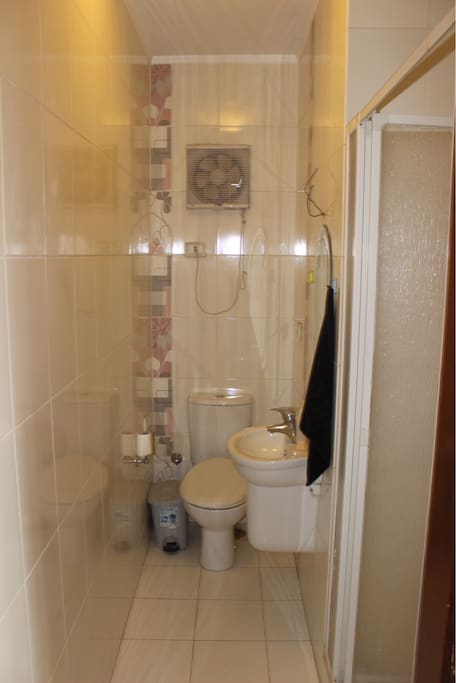 Guest bathroom with shower