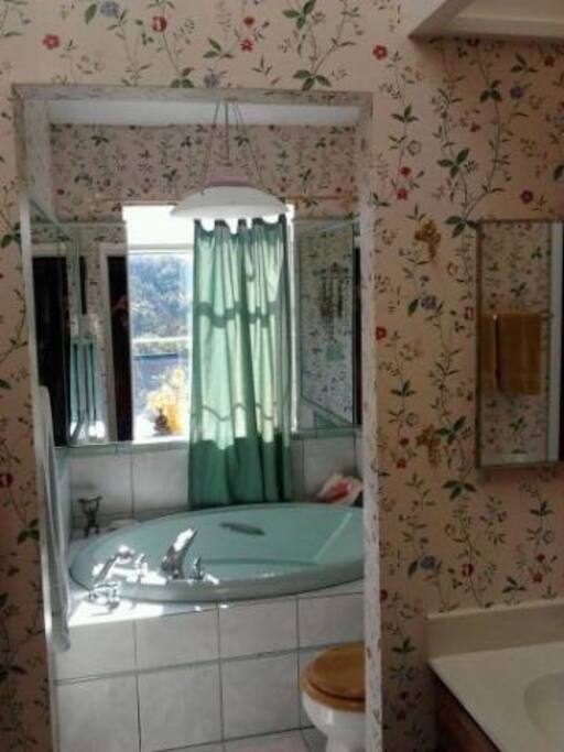 Luxuriate in soaking tub in Master after a long day of sightseeing, wedding partying, or hiking. Tub has shower attachment.
