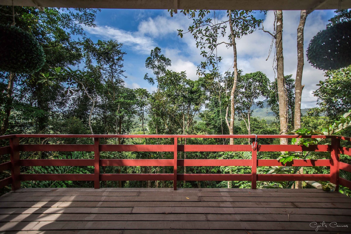 A wooden balcony overlooks a lush forest, with vibrant green trees stretching into the distance. A clear blue sky is visible above, offering a serene setting for relaxation. The railing is painted in red, complementing the natural surroundings.