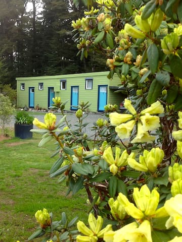Top Manapouri Cabins Vacation Rentals Airbnb