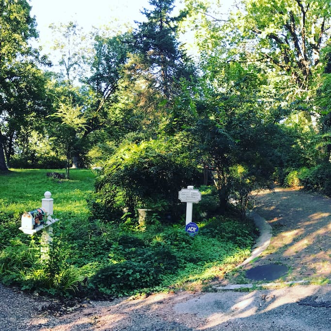 The driveway leading to our home