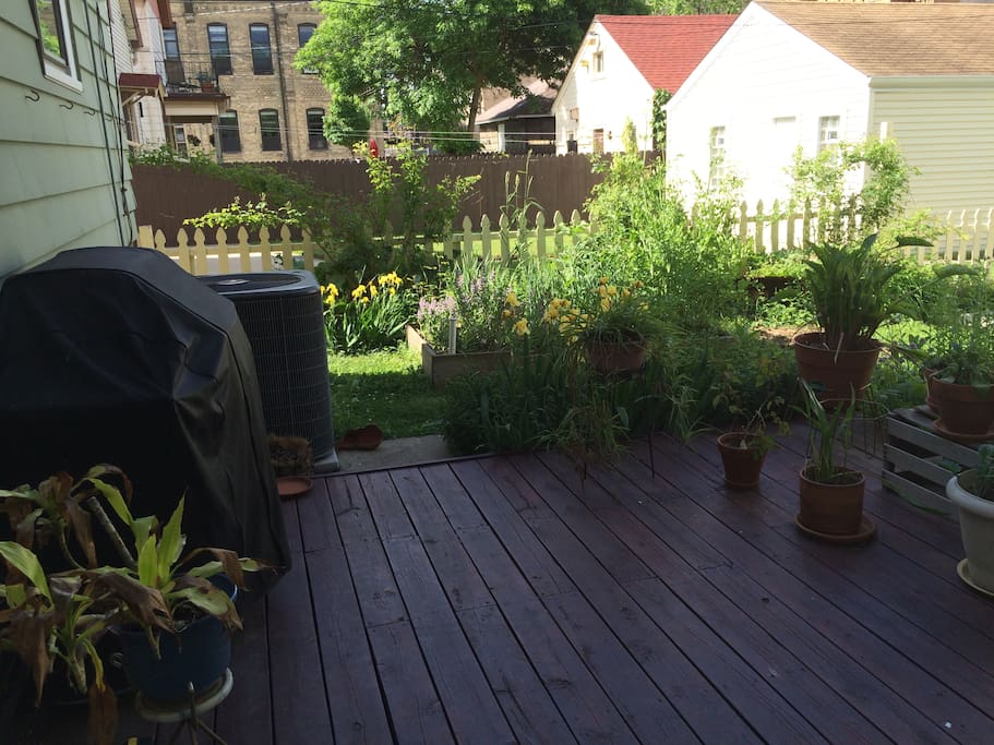 Back Deck 2