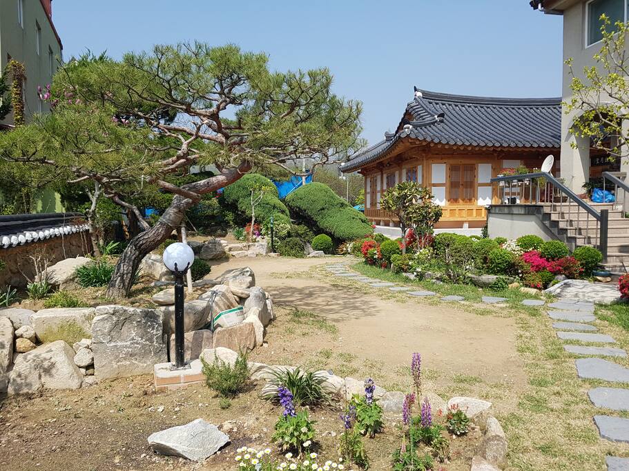 마당에서 본 한옥-1