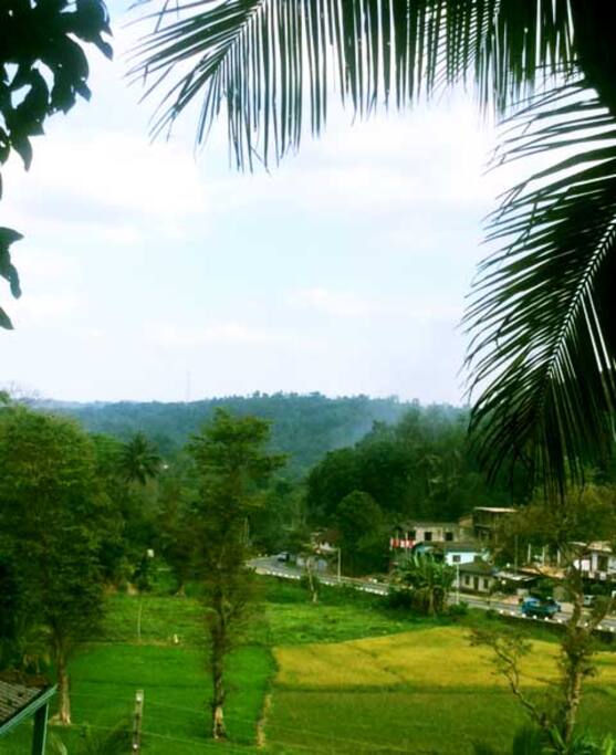 view from the balcony