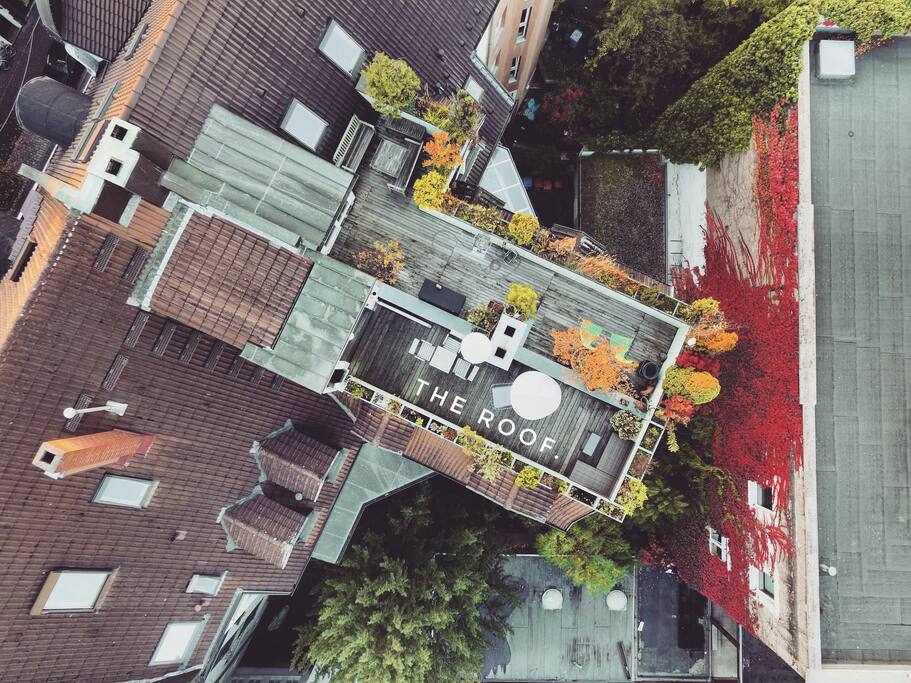 THE ROOF feels like a calm oasis in the the heart of the city.