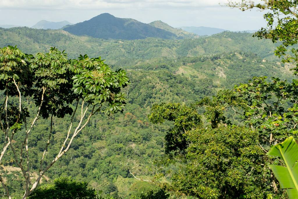 Montañas cercanas