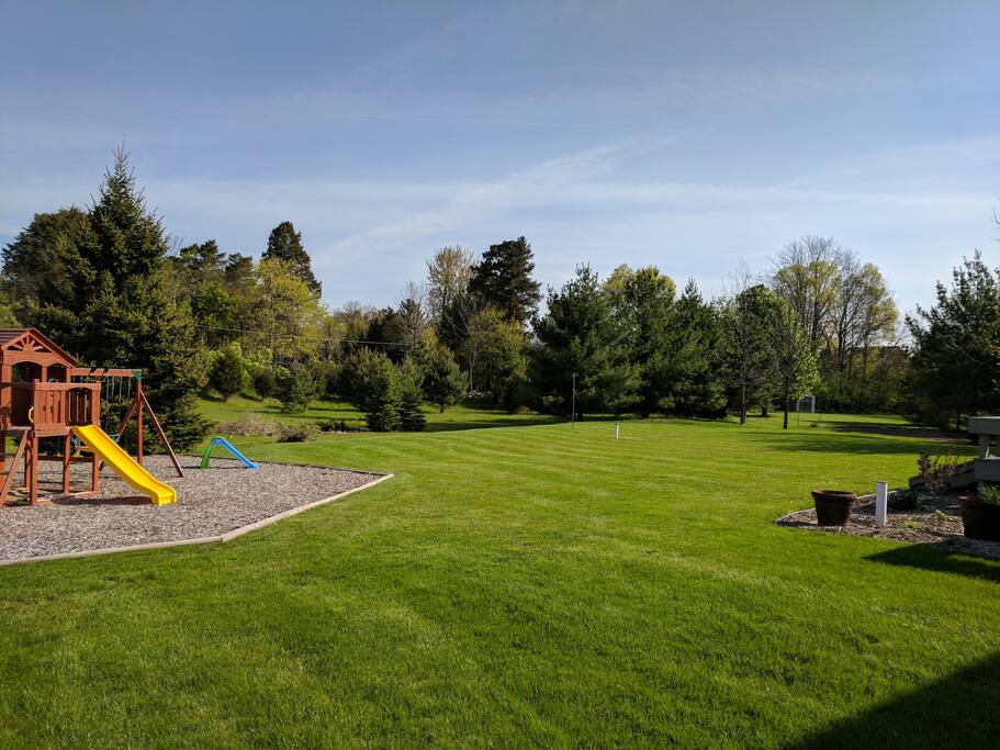 Backyard