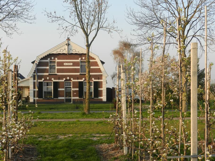 Vooraanzicht met perenbomen