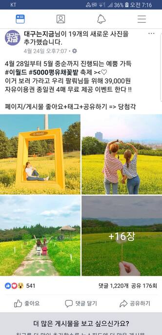 E world 5월 유채꽃축제!