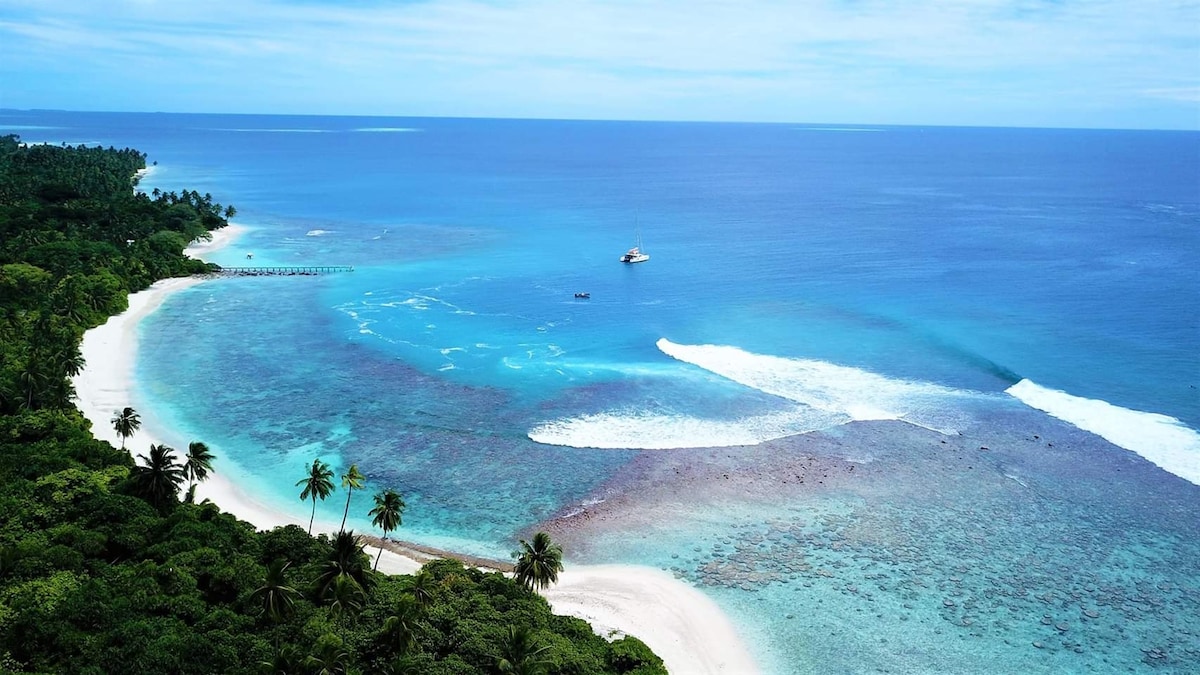 An aerial view captures a serene coastline featuring soft white sands and gentle waves lapping at the shore. Lush greenery borders the beach, leading to vibrant blue waters that transition into deeper shades. Small boats can be seen near the horizon, hinting at nearby adventures.