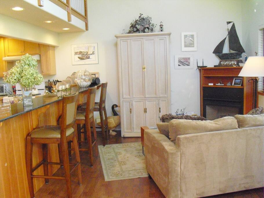 living room with fireplace and t.v.