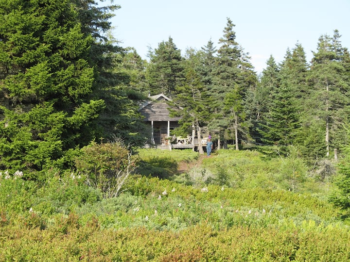 Tranquil Maine Log Cabin Entire Island Cabins for Rent in Beals
