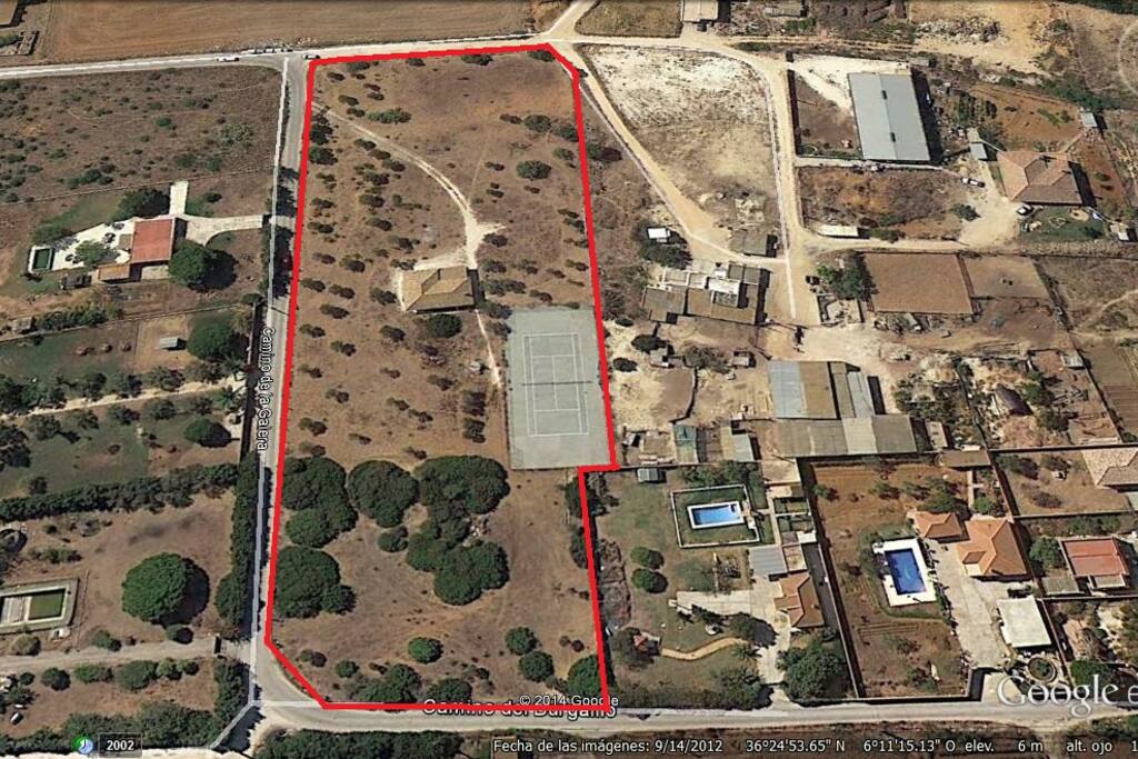 Finca de 1 Ha. Olivar y pista de Tenis propia