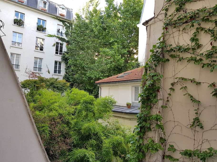 View from the apartment