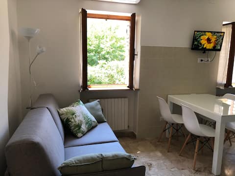 Top performing Airbnb: House with terrace and garden in the historic center in Assisi