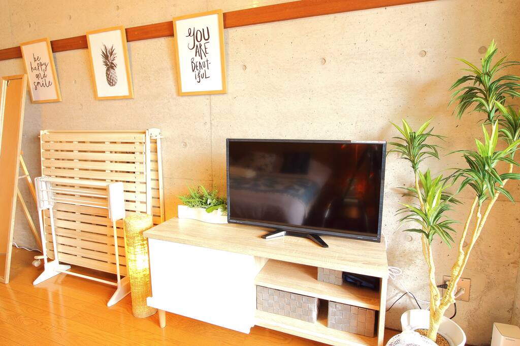 テレビ
TV