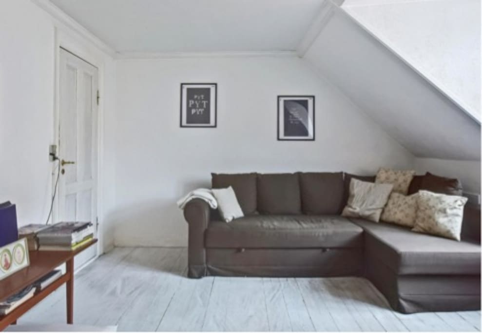 Tv stue med sove sofa.