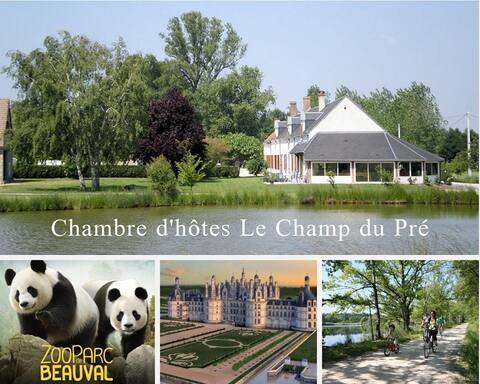 Le Champ du Pré – Close to Beauval Zoo & Castles